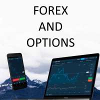 OlympTrade OPTION и OlympTrade FOREX что это?