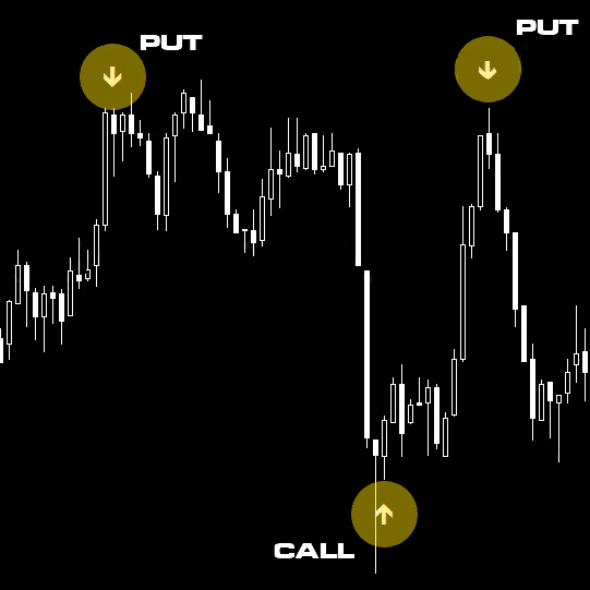 Forex Binary Grail