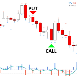 PZ Binary Options