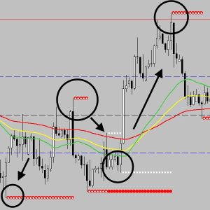 De Forex Mr. Y