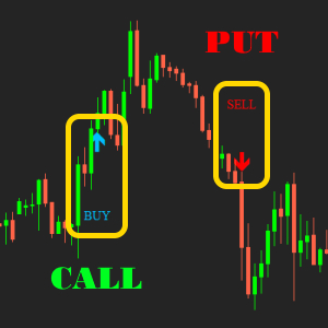 MSP Indicator