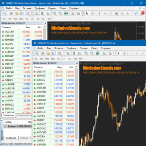 Как установить 2 терминала MetaTrader 4 от одного брокера