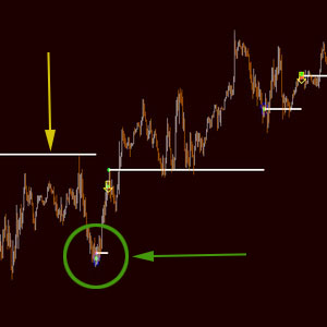 Crypto Binary Options