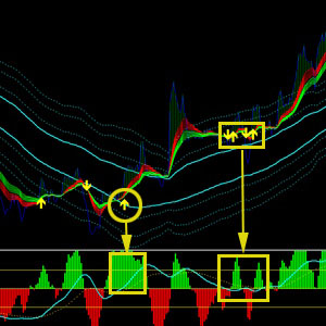 Renegade Trading System