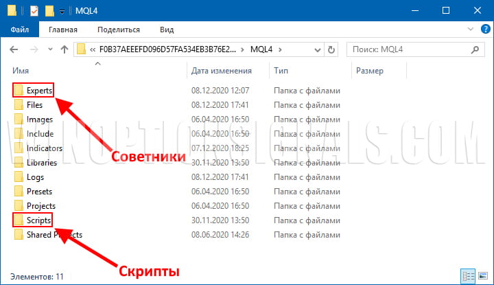 папки советников и скриптов в mt4