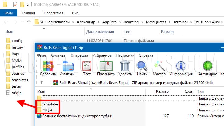 папки в архиве templates и mql4