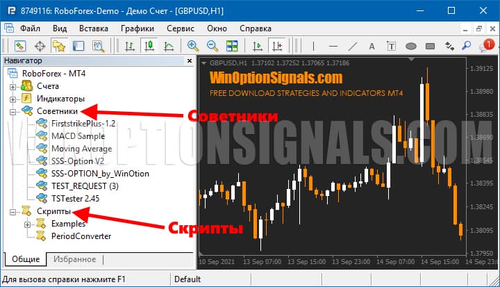 советники и скрипты в mt4