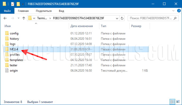 папка mql4
