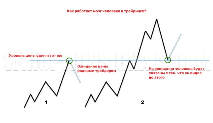 Как мозг обманывает нас в трейдинге