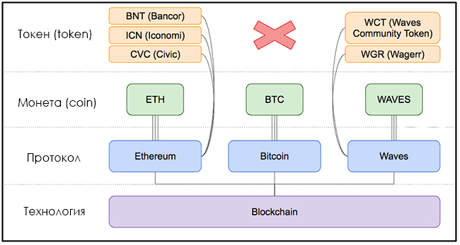 Примеры токенов и коинов в криптовалюте