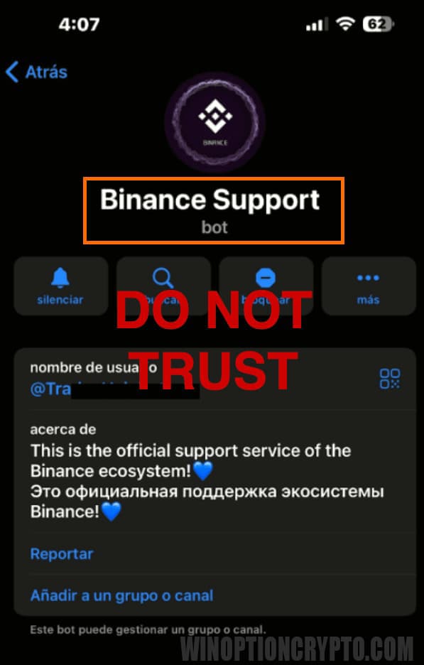 фейковый бот binance