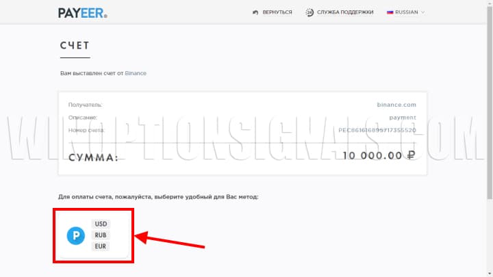 пополнение бинанс через payeer