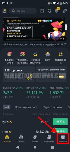 кошелек в приложении бинанс