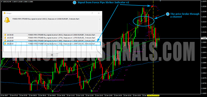 Put сигнал Forex Pips Striker