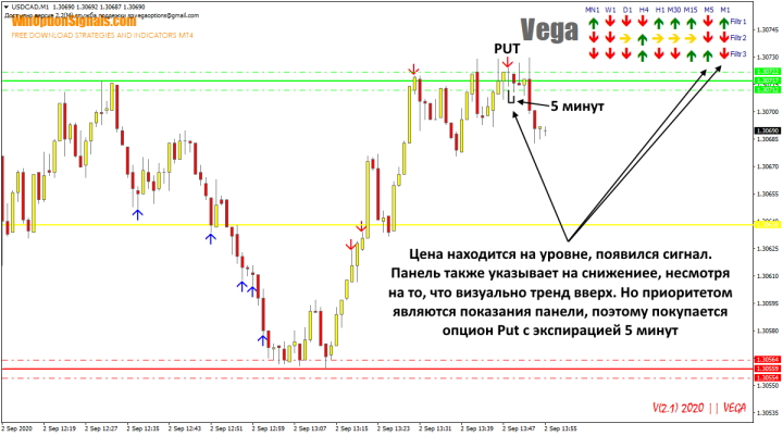 Покупка опциона Put по индикатору Vega