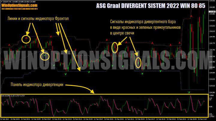 фрактал ASG Graal DIVERGENT SISTEM 