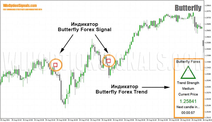 индикаторы стратегии для бинарных опционов Butterfly