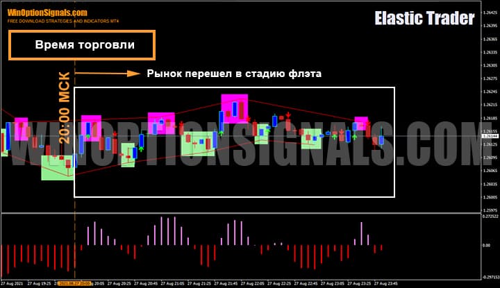 Время торговли по стратегии для бинарных опционов Elastic Trader