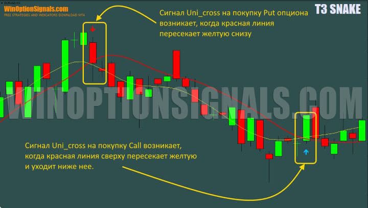 сигналы в t3 snake